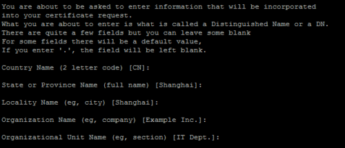 填写SSL证书信息