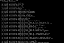 使用SSH命令快速安装WordPress-建站笔记